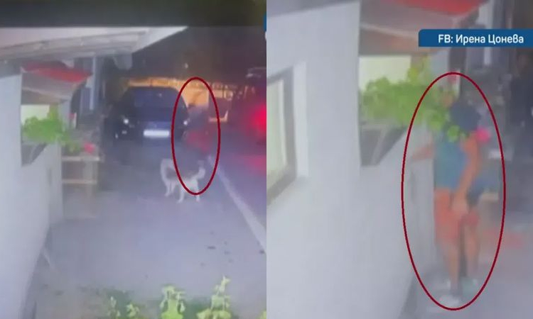 Мъж уби с бухалка кучето на съседката си пред очите ѝ