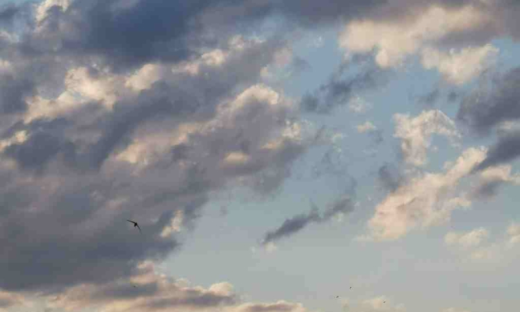 Валежи в цялата страна