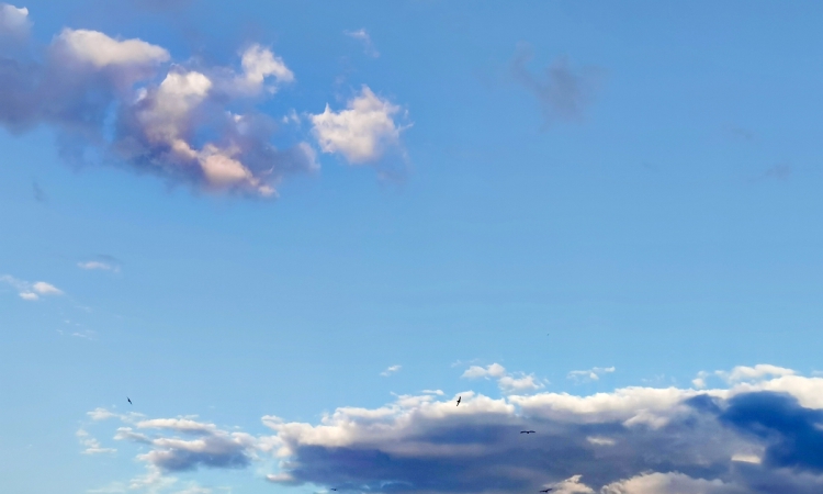 Променлива облачност