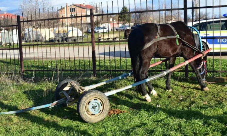 2-годишно дете и майка му загинаха при сблъсък между влак и каруца. Бащата: В шок съм