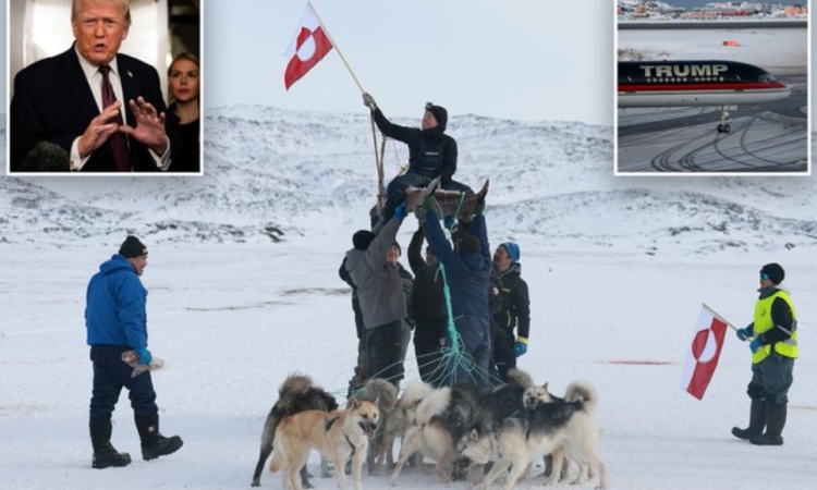 Дания разполага войски в Гренландия