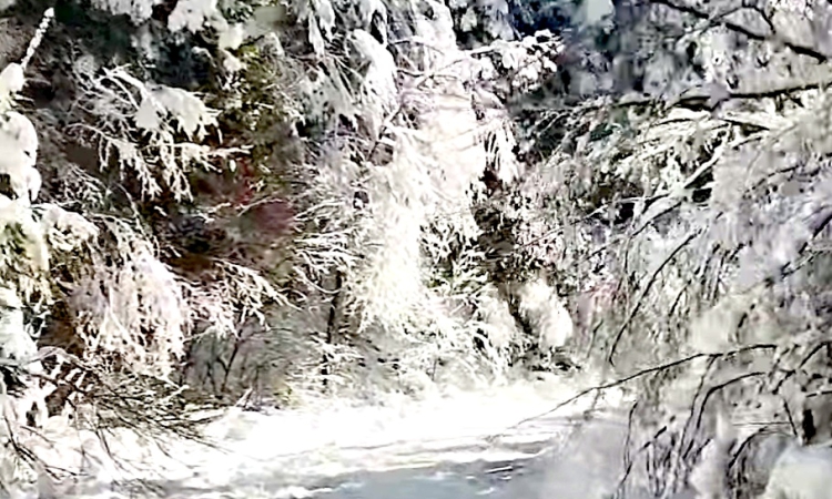 Изпращаме годината с топло време