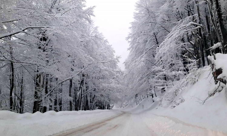 Над 100 населени места още са без ток