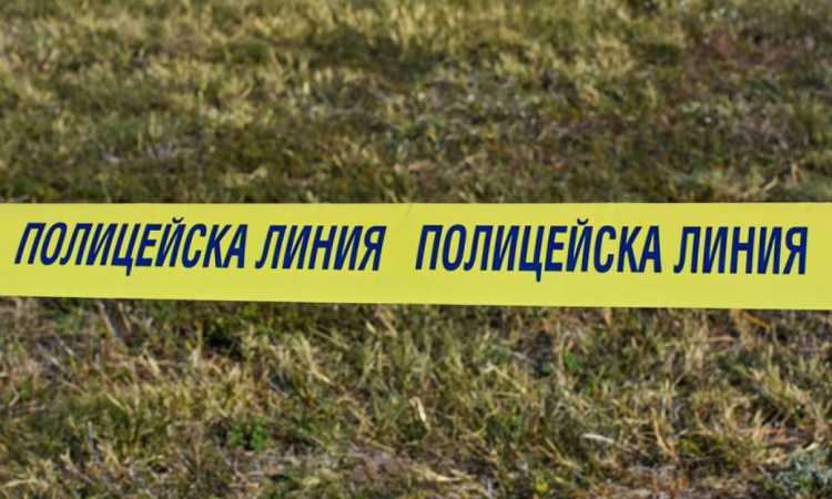 Четири жертви при тежка катастрофа между микробус и тир край Видин