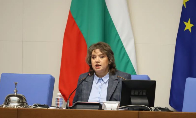 Киселова към &quot;Възраждане&quot; за искания референдум за еврото: Спрете да лъжете хората