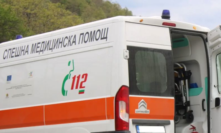 Блъснаха с каруца жена и 3-годишно дете в Хасково
