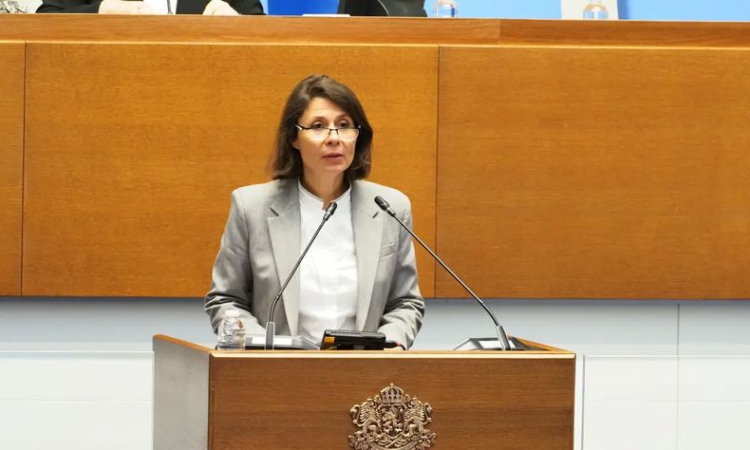 Елисавета Белобрадова за погрома: Всичко беше инсценирано, мога да различа спектакъл