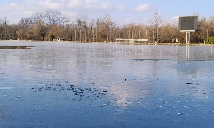 Млад мъж и двама непознати спасиха жена от ледените води на Гребния канал