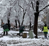 Дърво, натежало от снега, падна и изпотроши пет коли в район 