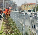 Хиляди красиви рози, храсти и дървета засаждат по ключов булевард в Пловдив