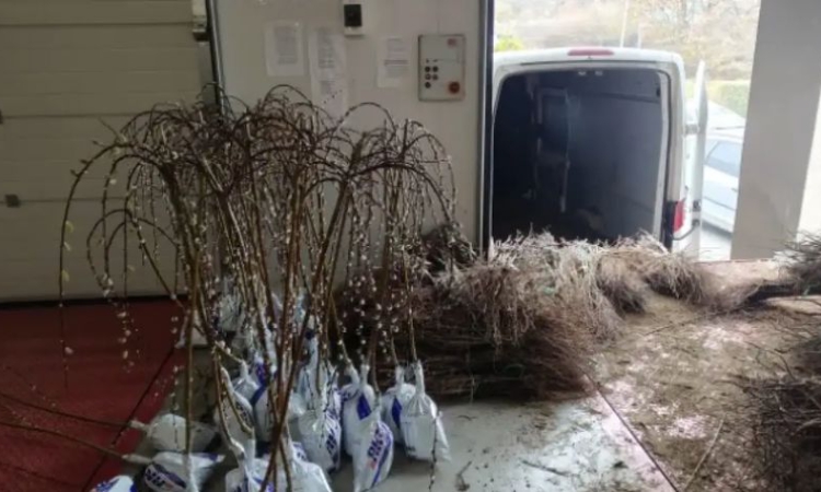 Спряха вноса на хиляди овошки и лози с неясен произход