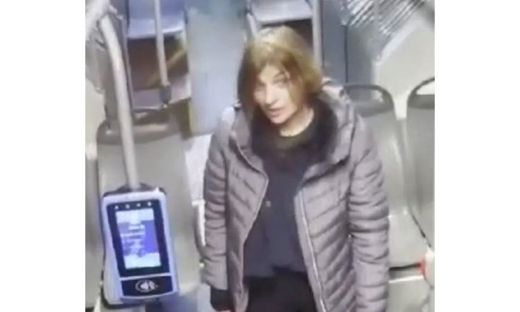 Обвиниха и задържаха за срок до 72 часа жената, намушкала с нож четирима чужденци в София