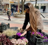 Главната на Пловдив разцъфна с хиляди нови цветя