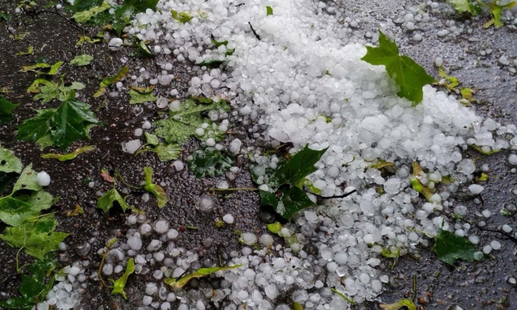 Градушка с размерите на орех падна в Крумовград