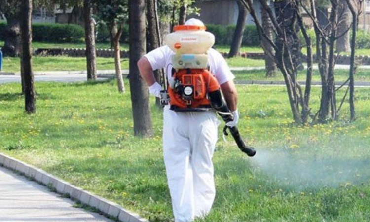 Продължава дезакаризацията на тревните площи