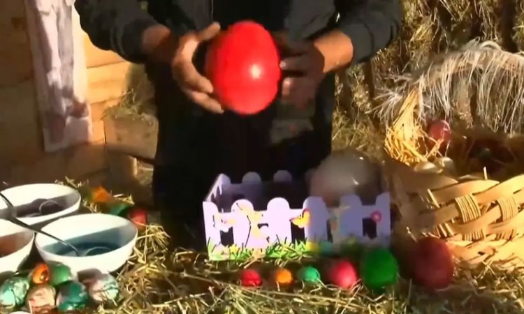 Боядисаха великденски яйца от над 40 вида птици