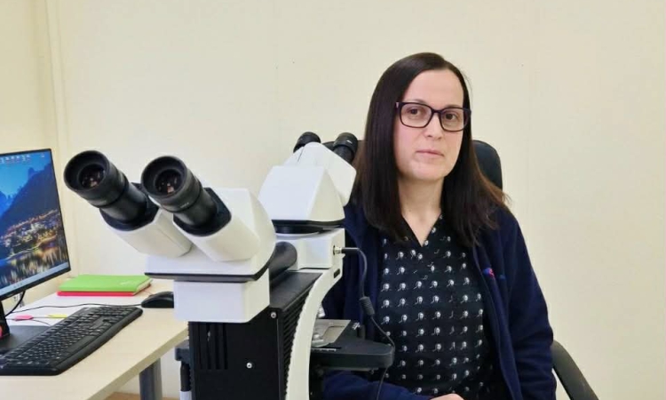 КОЦ - Пловдив е единствен в Южна България с високотехнологична туморна диагностика